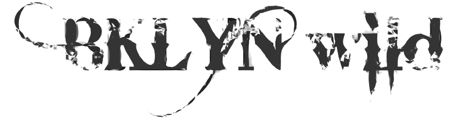 a close up of a logo