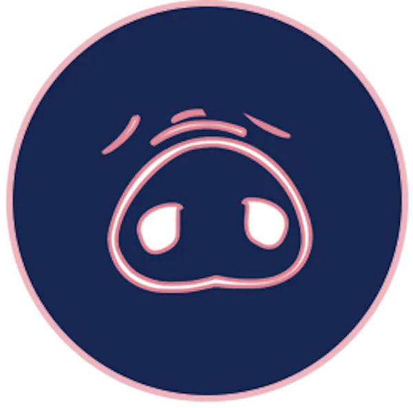 Pig Beach | Official Website