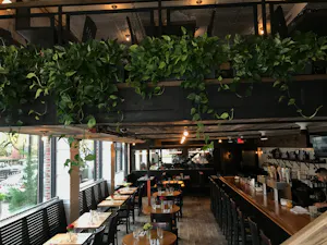 White Star Bar photo