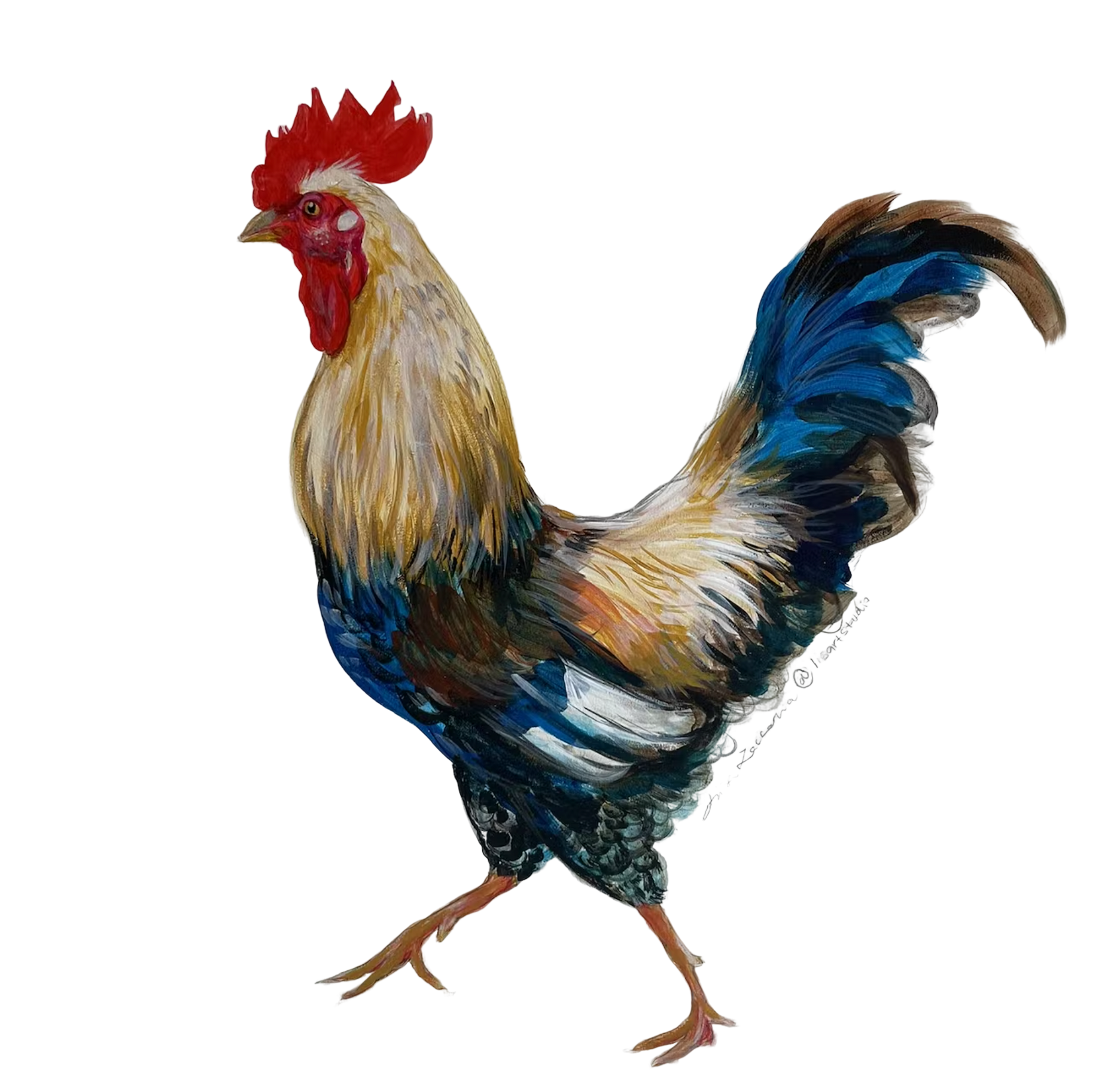 a bird that is standing in the dark