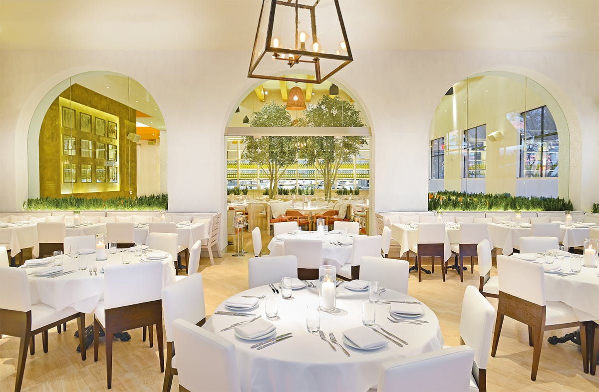 Oc Newport Beach Fig Olive