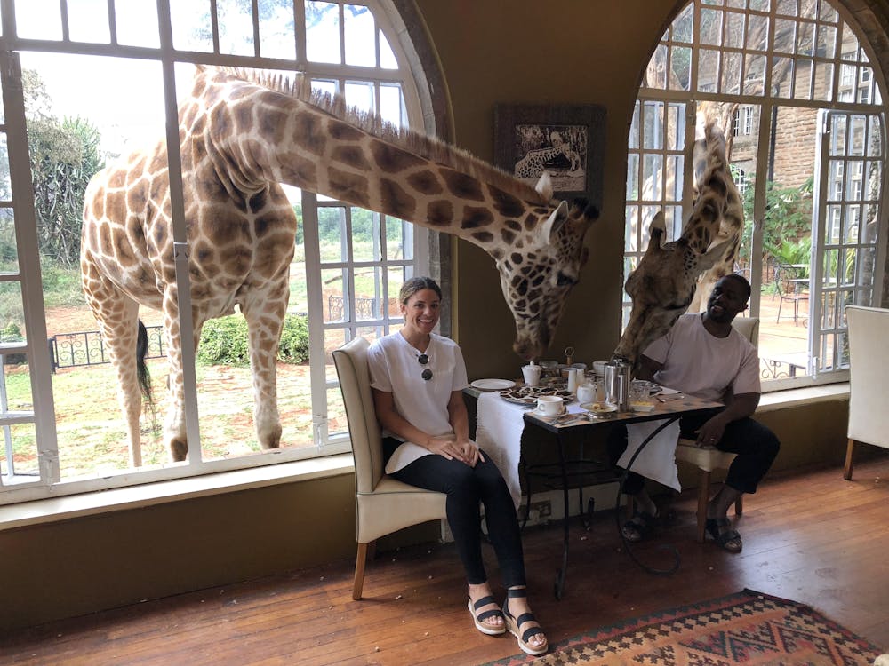 a group of giraffe standing next to a window
