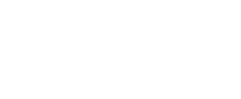 a close up of a plate