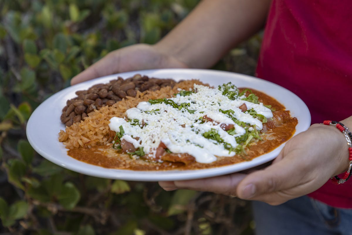 a person holding a plate of food