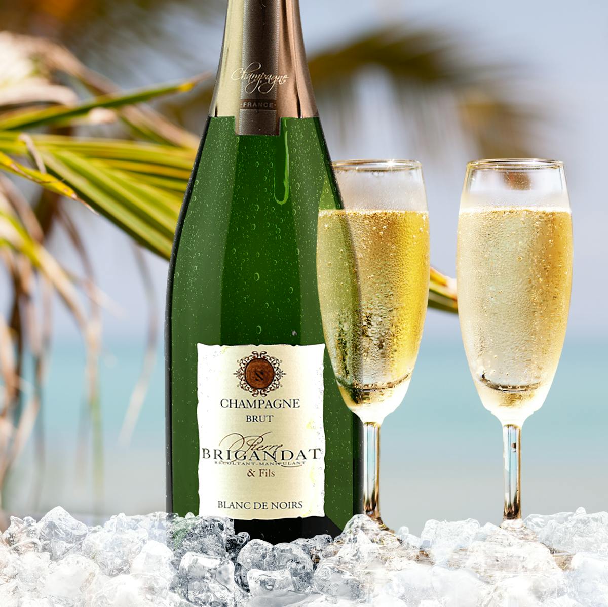 BRIGANDAT BRUT CHAMPAGNE at OCEANOS