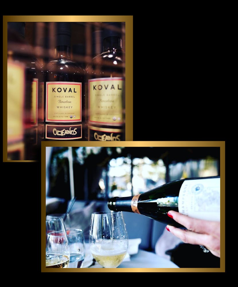 a person holding a cell phone