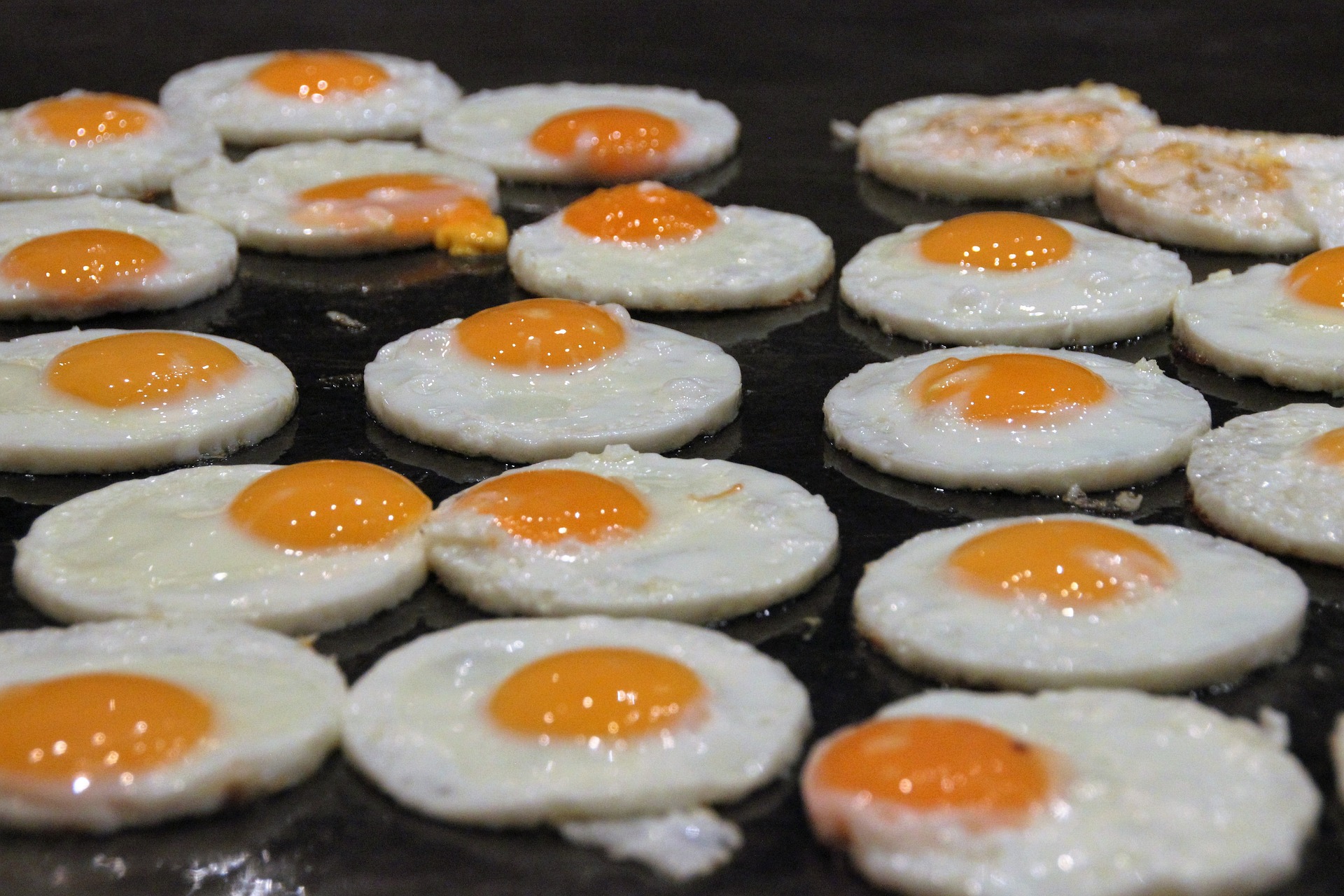 a close up of food