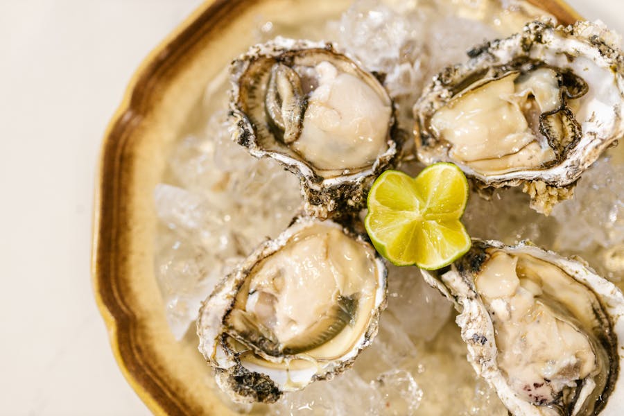 Menus The Mill Wharf in Scituate, MA