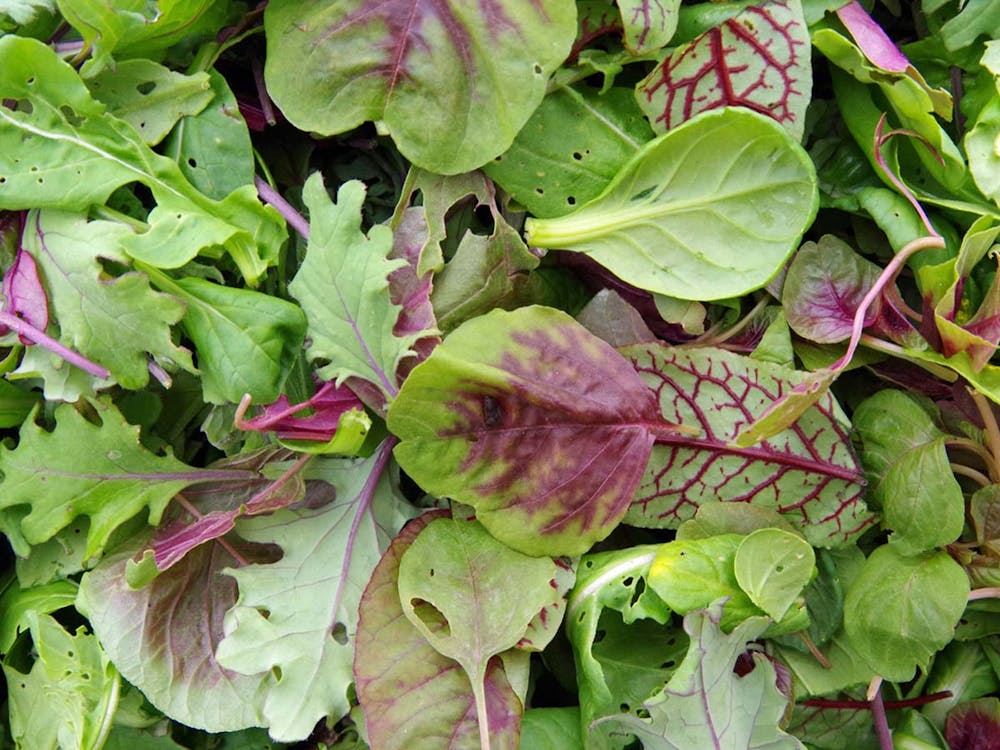 a sandwich on a plate