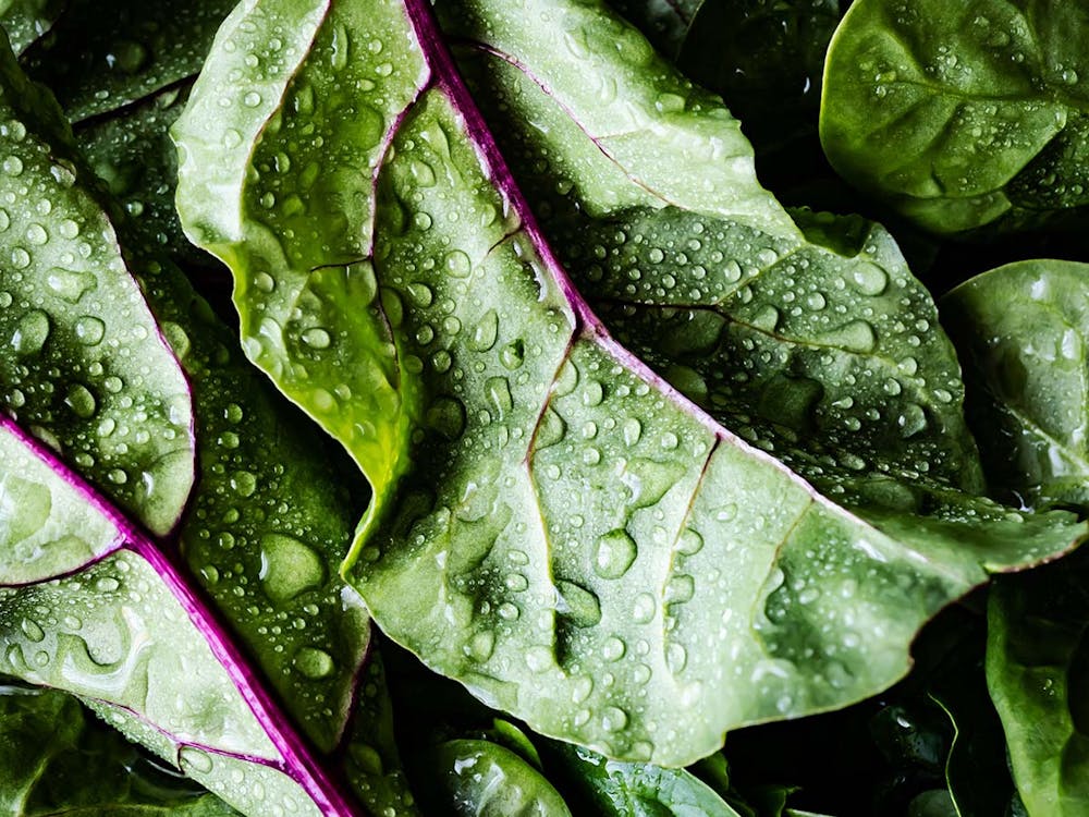 a bowl of salad on a plate