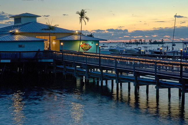 Discovering Squid Lips in Vero Beach: A Culinary and Cultural Journey