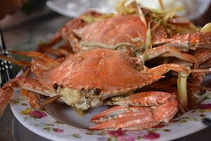 a crab on a table