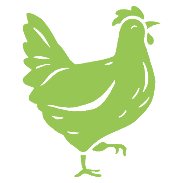 a chicken clip art