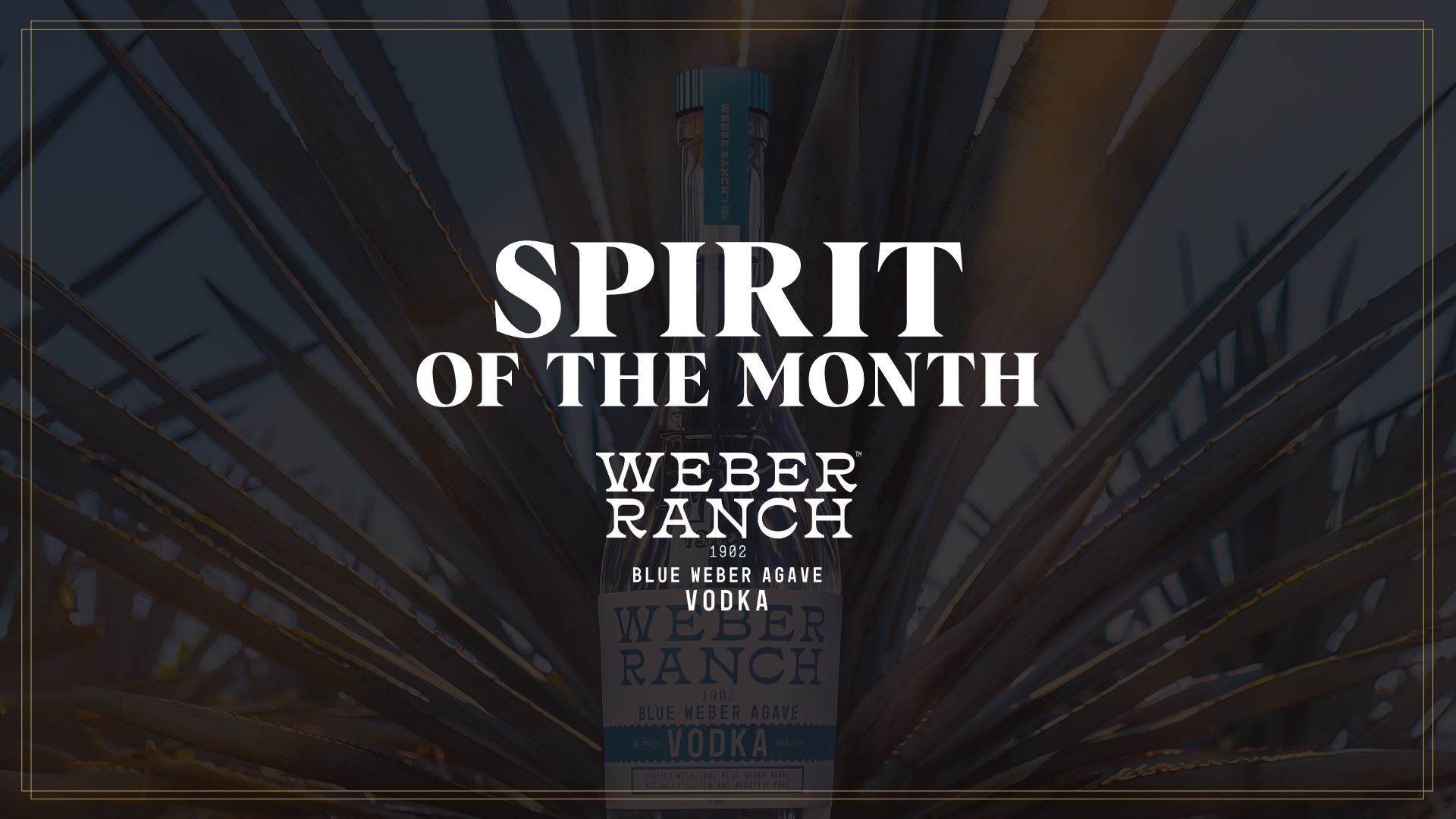 November's Spirit of the Month at Eight Lounge is Weber Ranch 1902 Vodka