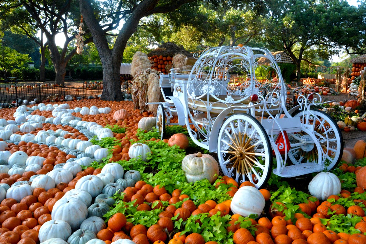 a group of fruit and vegetable stand