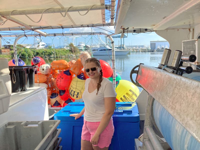 About Harbor House Seafood Market in Hatteras, NC