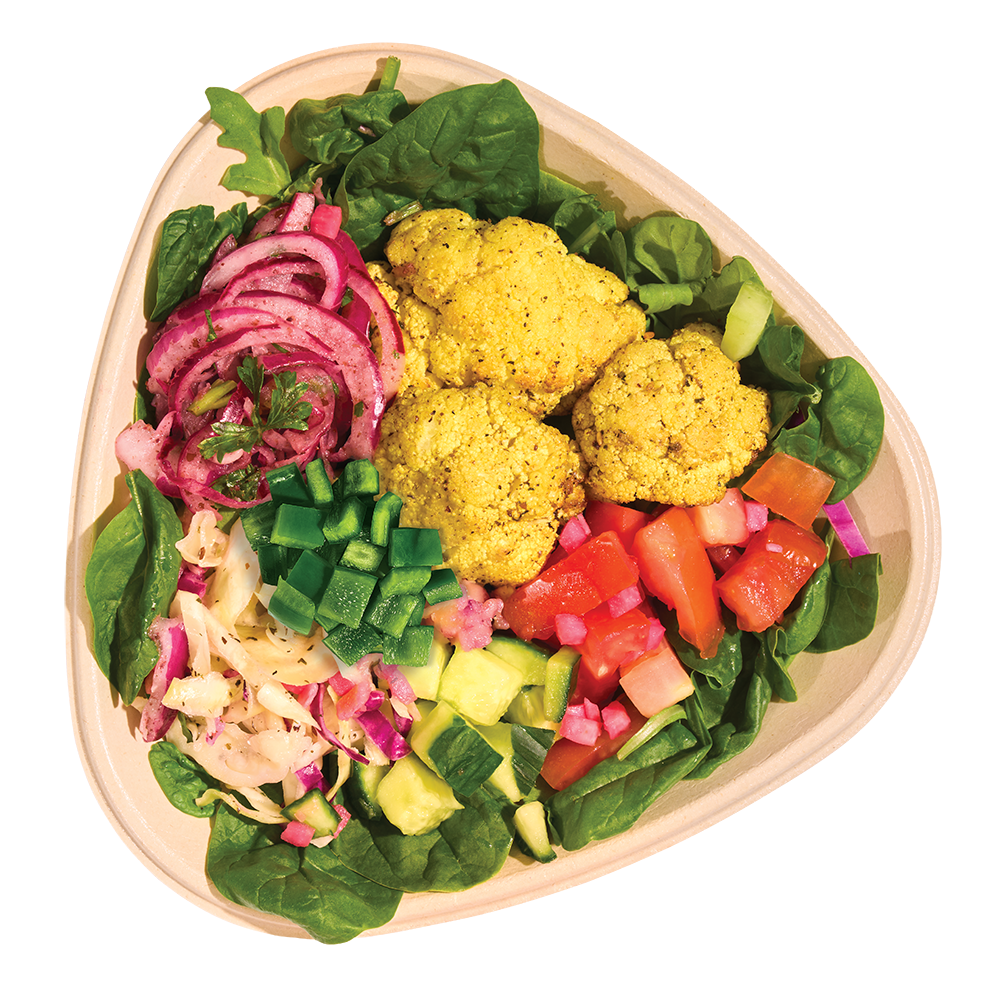 Naya vegan salad bowl icon