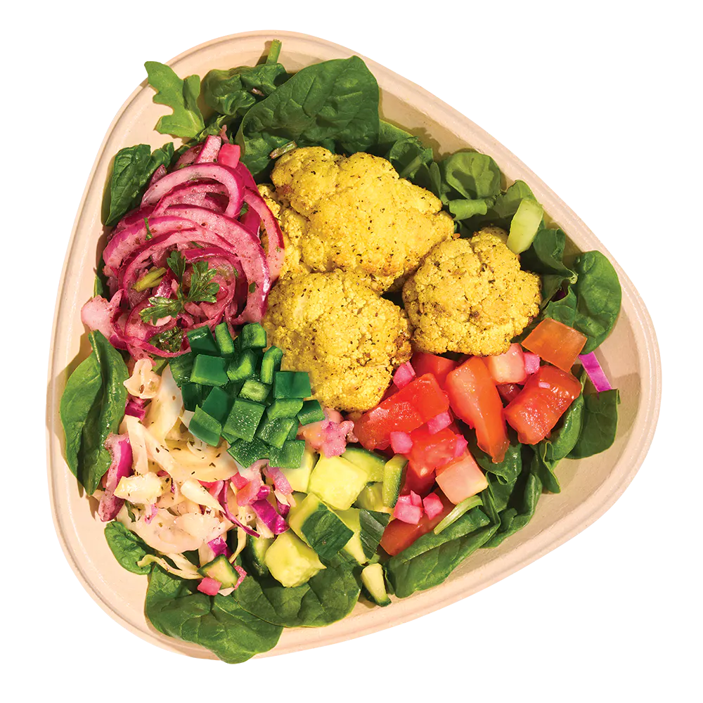 Naya vegan salad bowl icon