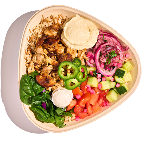 Chicken Shawarma bowl