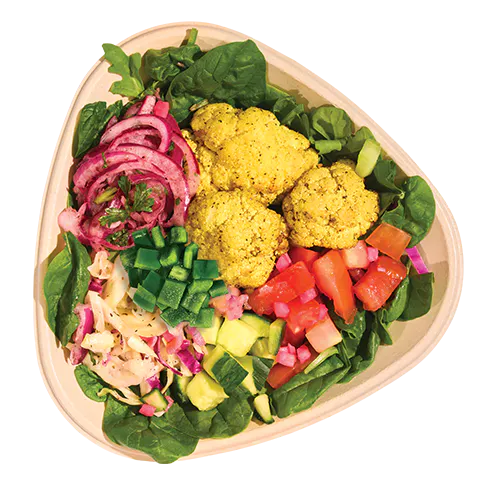 Naya vegetarian/vegan bowl icon