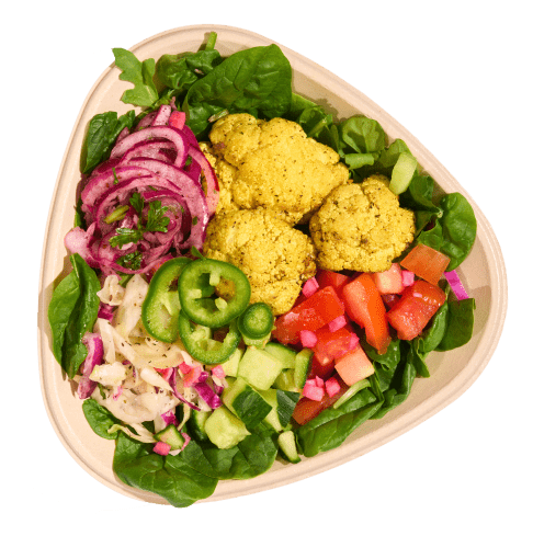 Naya vegetarian/vegan bowl icon