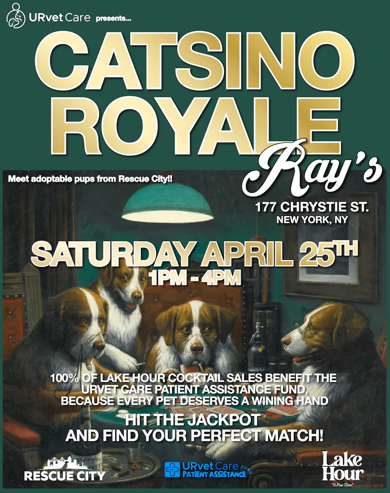 Meet adoptable pups from rescue city this saturday, 4/25, 1pm- 4pm 100% of lake hour cocktail sales benefit the Urvet Care Patient Assistance Fund, because every pet deserves a winning hand hit the jackpot and find your perfect match