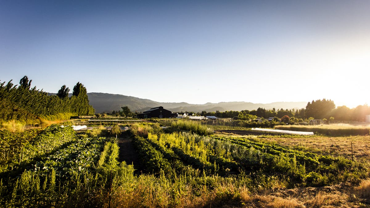 a horizon shot of the charter oak farm during the day