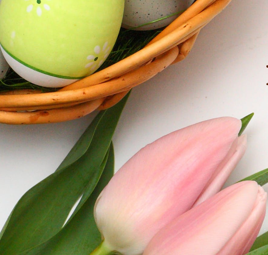 a bowl of fruit sitting on top of a green plant