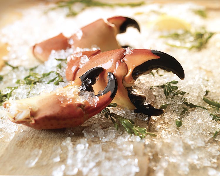 Stone Crab Season Is BACK! Landry's Seafood Seafood Restaurant in