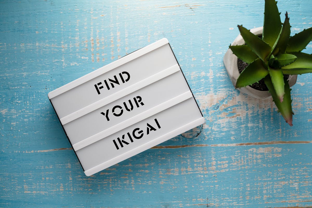 Succulent and lightbox that reads Find Your Ikigai on a blue table.