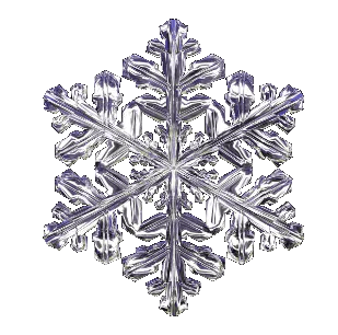 a close up of a flower