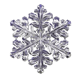 a close up of a flower