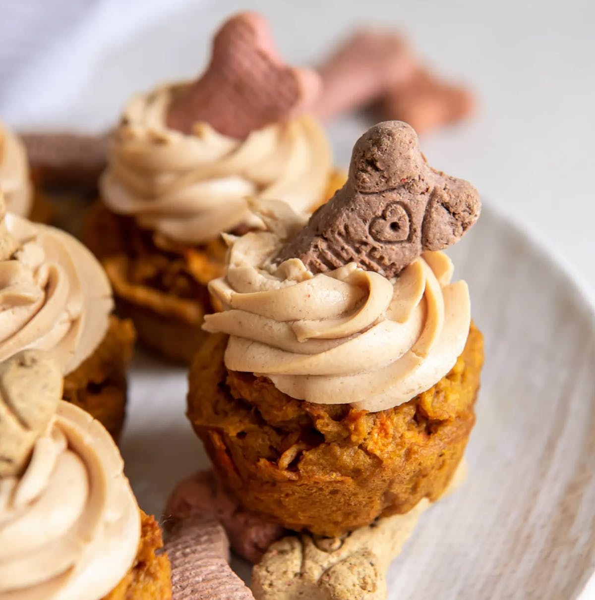 Pumpkin Pupcake Recipes For Dogs Birthday Dog Cupcakes Frosting