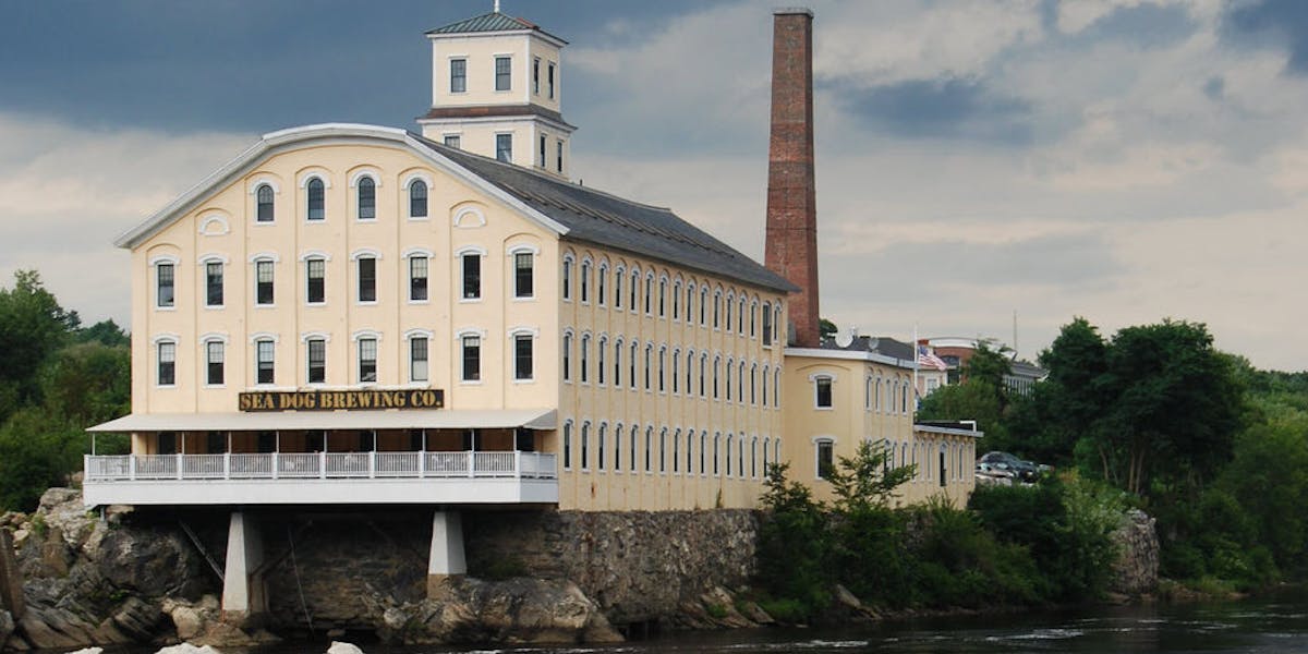 Dog Friendly Restaurants In Topsham Dog Friendly Restaurants In Topsham