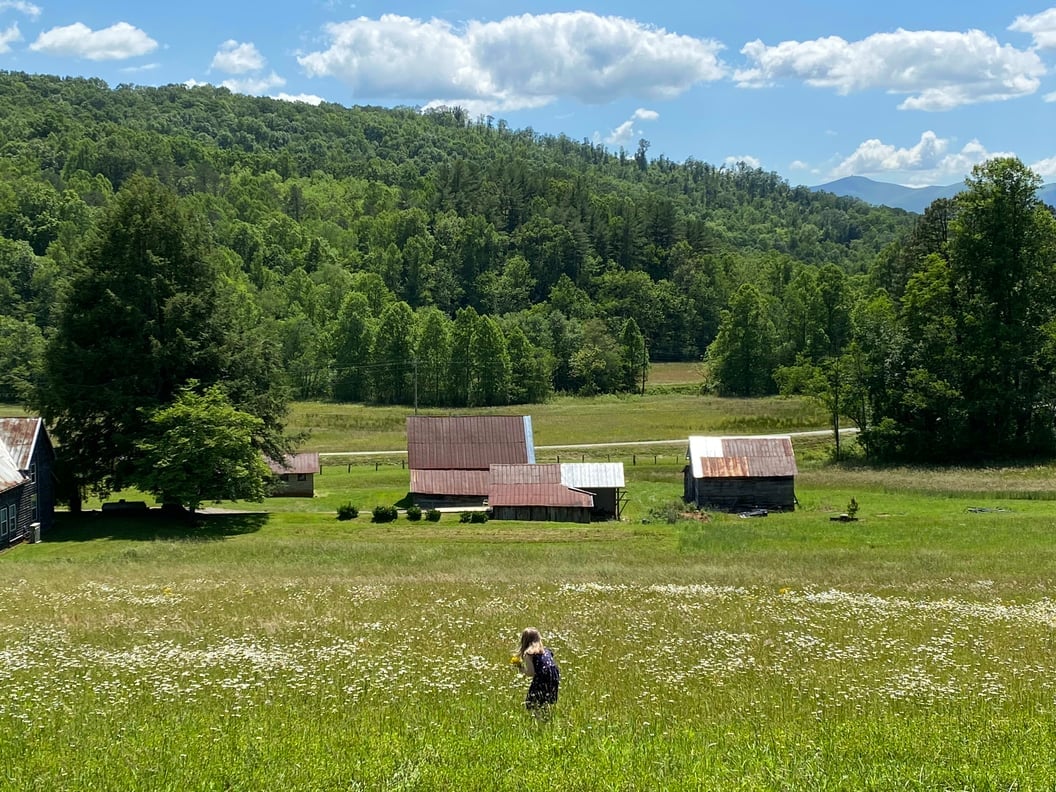 a farm