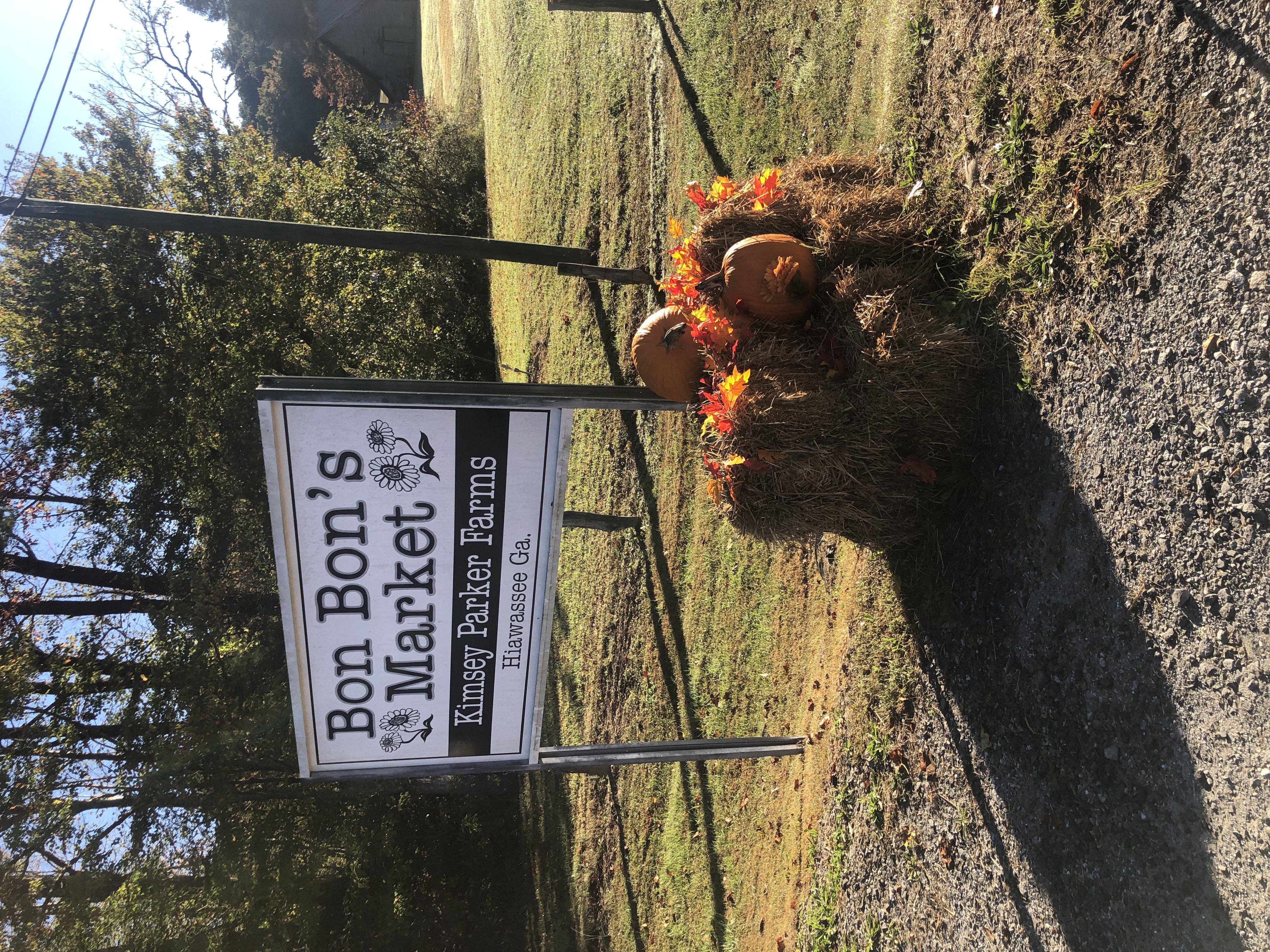 a sign over a fire hydrant in the grass
