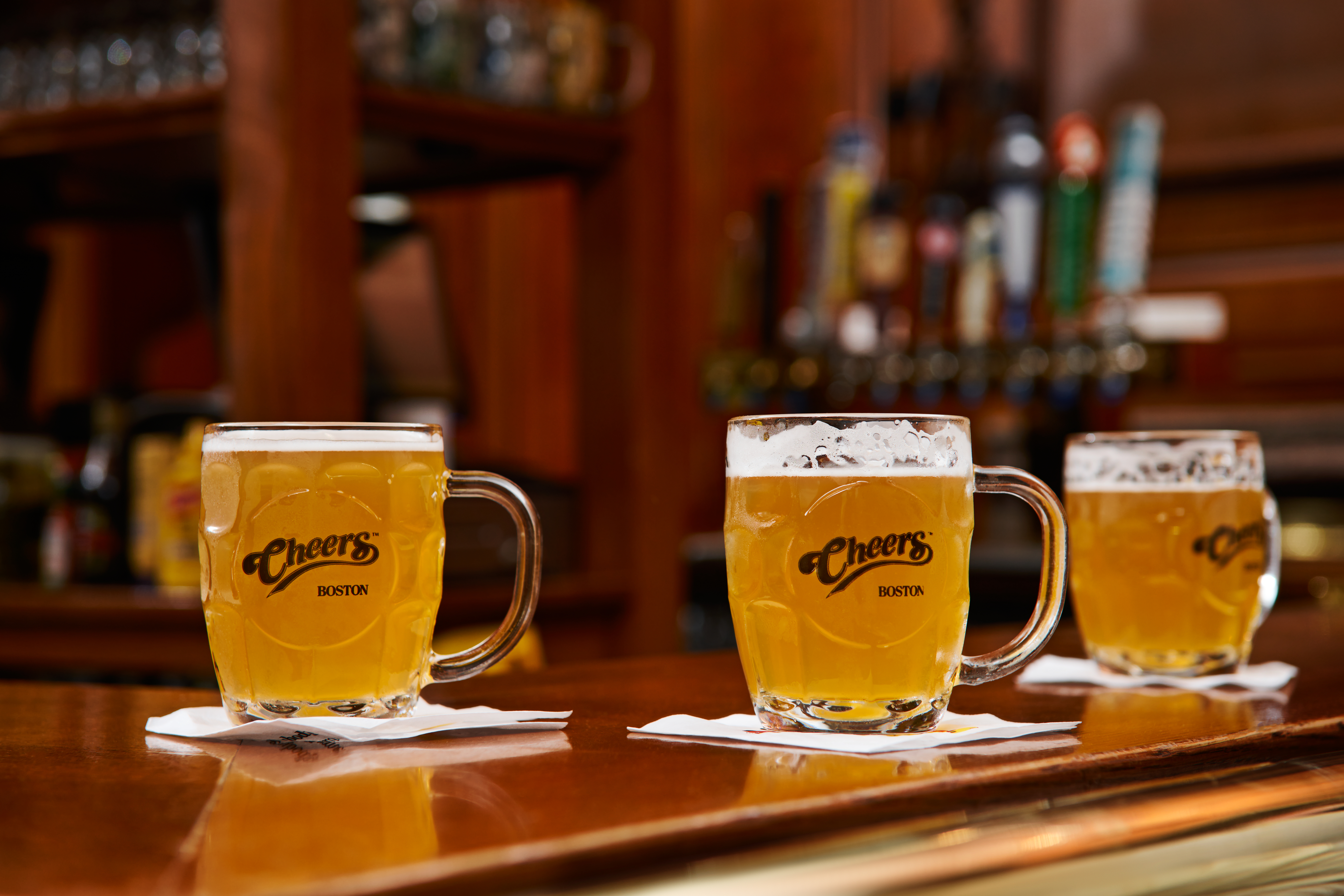 glasses of beer on a bar