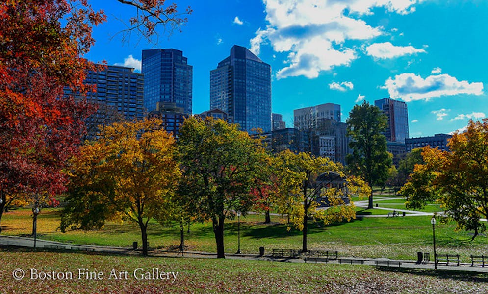 Events to do in Boston in the Fall Hampshire House Hampshire House