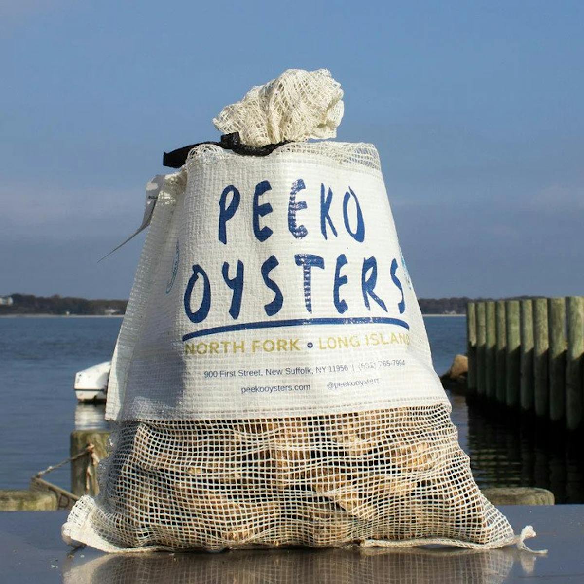 bag of oysters