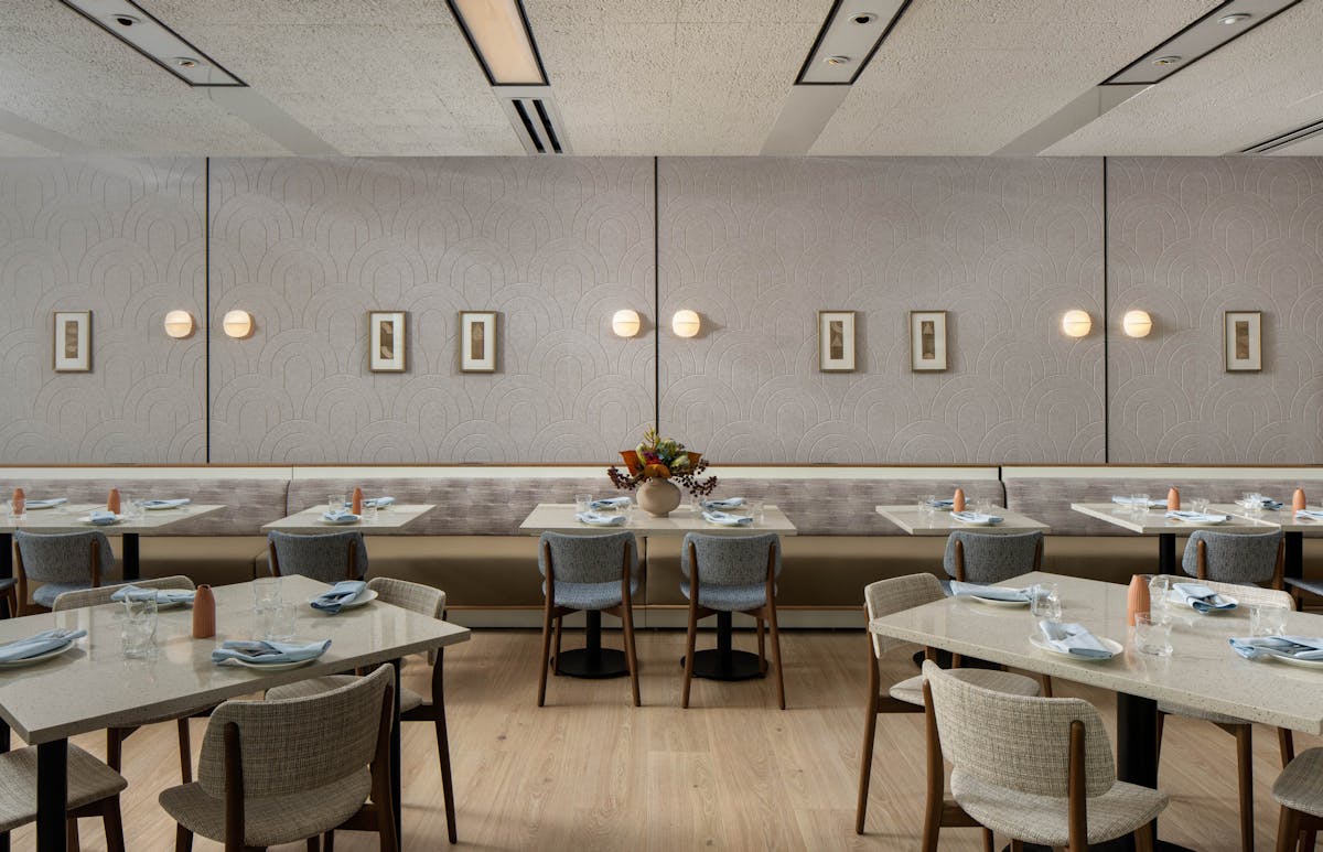 a group of people performing on a counter