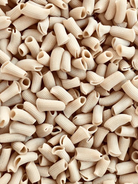 Fresh Rigatoni Pasta Louise Italian Restaurant in Park Slope, Brooklyn