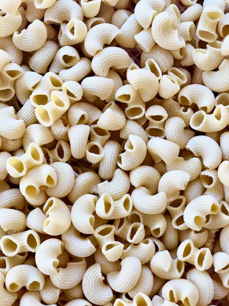 Fresh Lumache Pasta Louise Italian Restaurant in Park Slope, Brooklyn