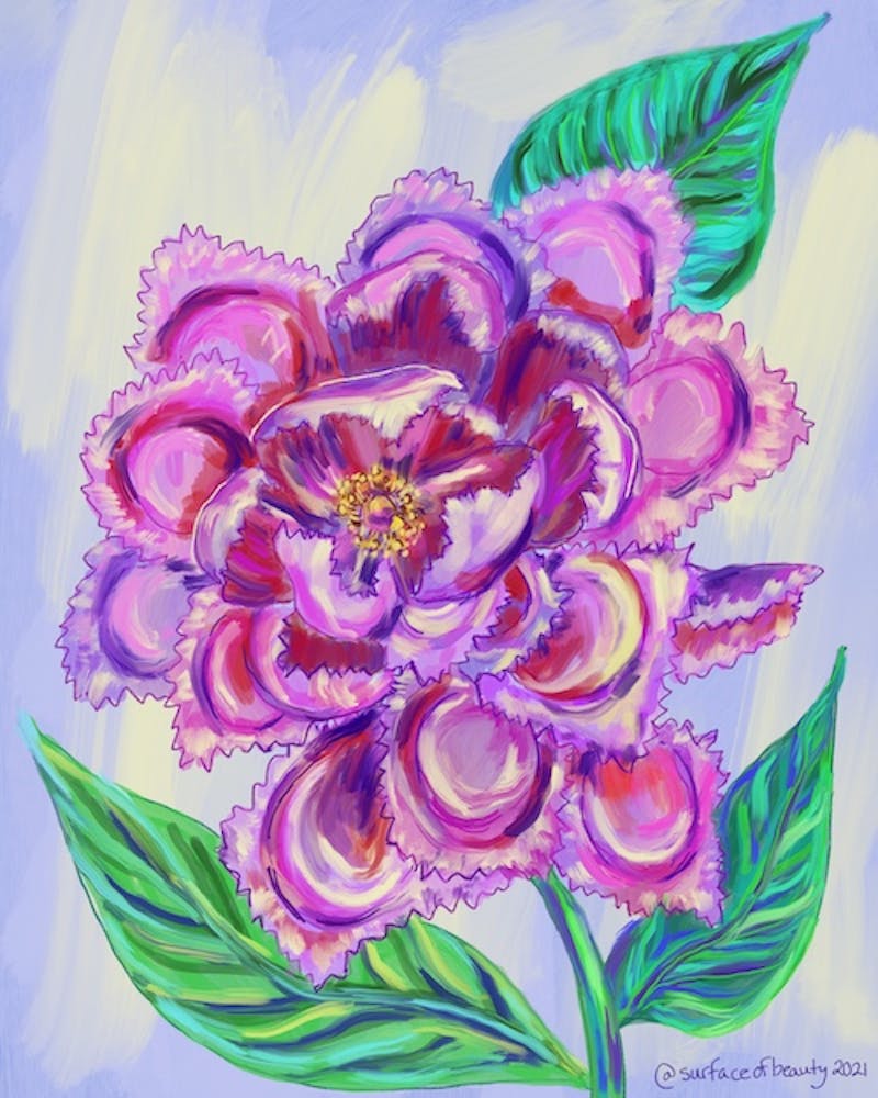 Gift Cards Pasta Louise Italian Restaurant in Park Slope, Brooklyn