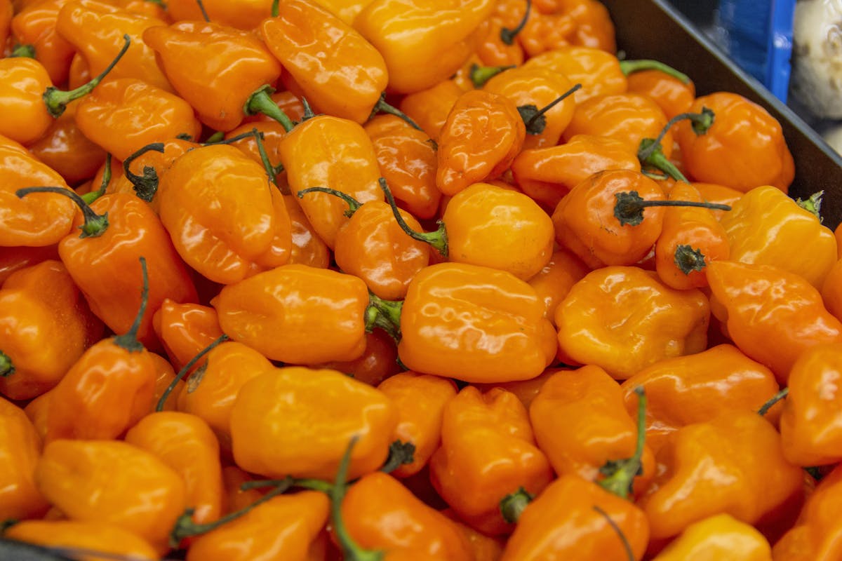 a pile of oranges