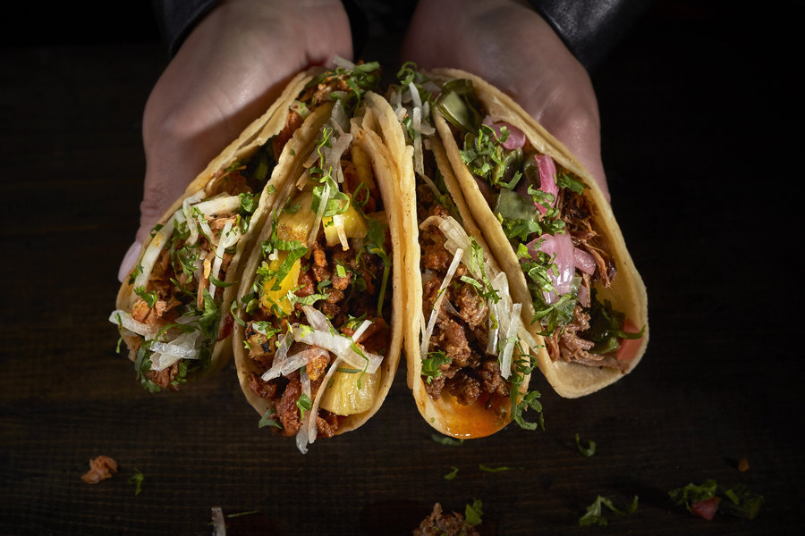 Group shot of four traditional tacos including al pastor, carnitas, tinga, served in corn tortillas and topped with cilantro and sliced onions