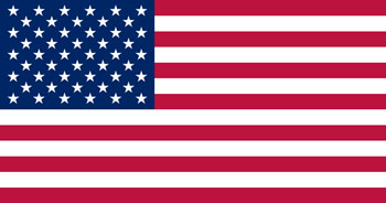 a USA flag
