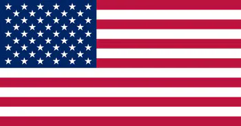 a USA flag