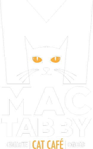 Mac Tabby Cat Cafe Refresh (2021) Home