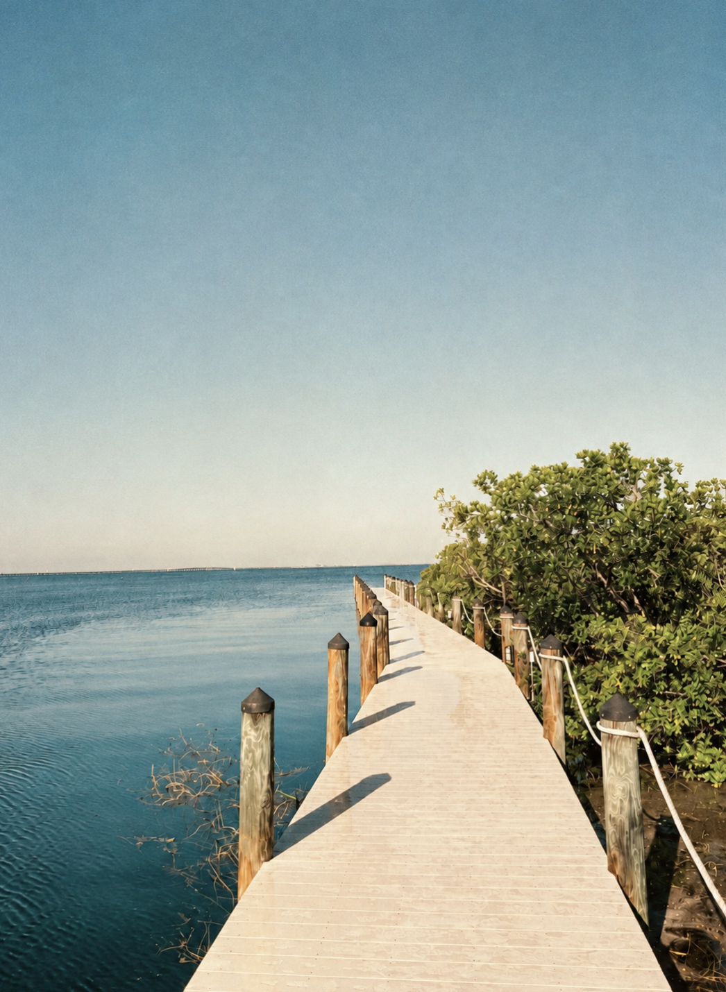 a wooden walkway over water