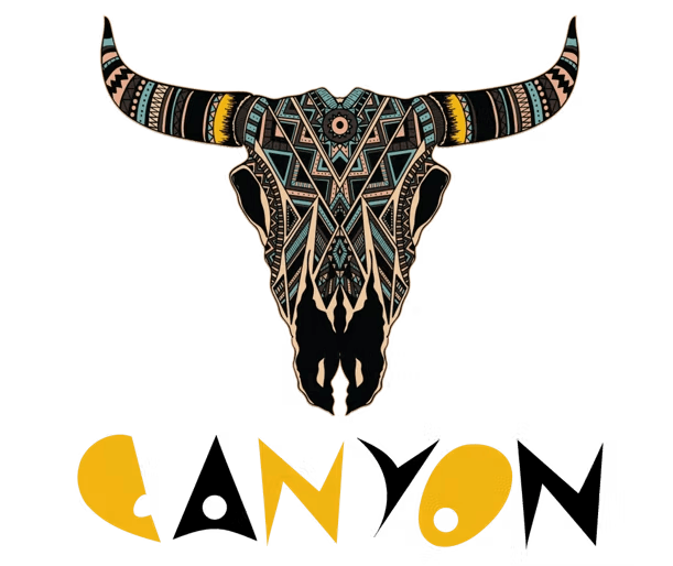 a person with collar shirt